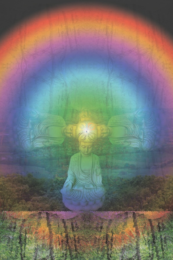 Buddah Kong copy