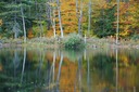DSC 0109.JPG
