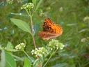 DSCN1739