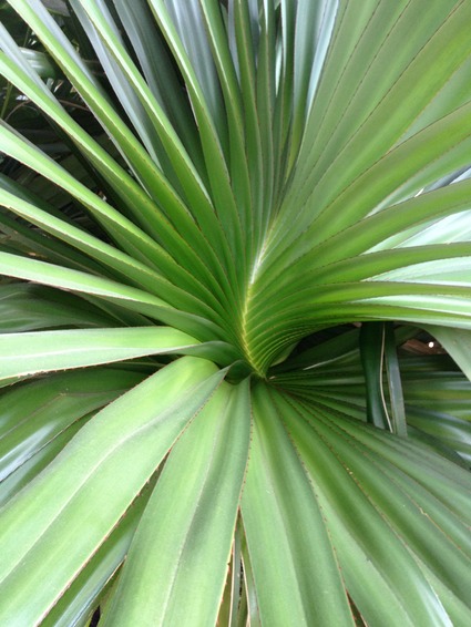 IMG 1330.jpg