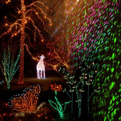 Light Show Collage.jpg